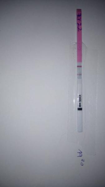 Bild zu Ovulationstest - ZT22??? Foto! - Kinderwunsch - was tun, um schwanger zu werden?