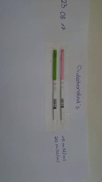 Bild zu Positiver Ovulationstest an Zyklustag 8 - Kinderwunsch - was tun, um schwanger zu werden?