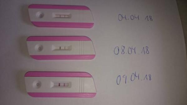 Bild zu Ovulationstest seit 6 Tagen positiv - Kinderwunsch - was tun, um schwanger zu werden?