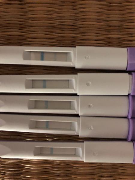 Bild zu Ovu Orakel Clearblue Monitor - Kinderwunsch - was tun, um schwanger zu werden?