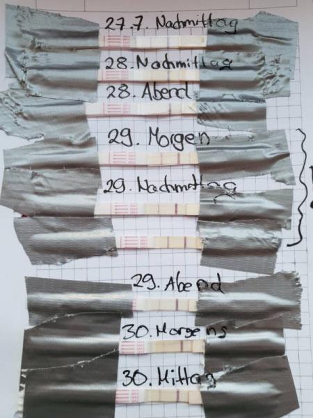Bild zu Ovo Test - Kinderwunsch - was tun, um schwanger zu werden?