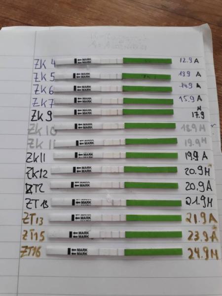 Bild zu Kinderwunsch , Ausfluss - Kinderwunsch - was tun, um schwanger zu werden?