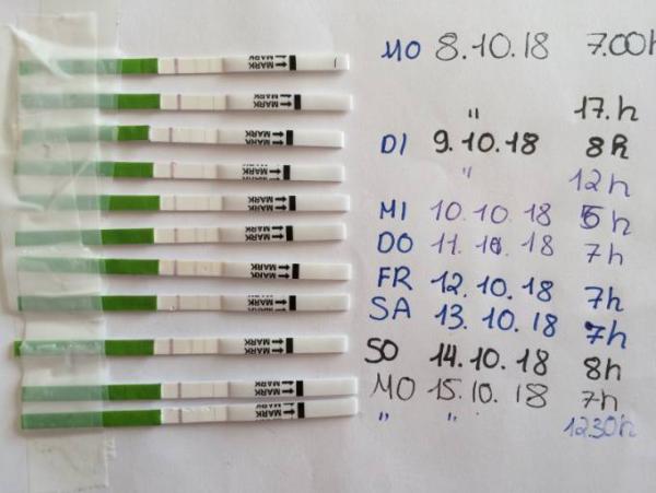 Bild zu Ovulationstest positiv?? - Kinderwunsch - was tun, um schwanger zu werden?