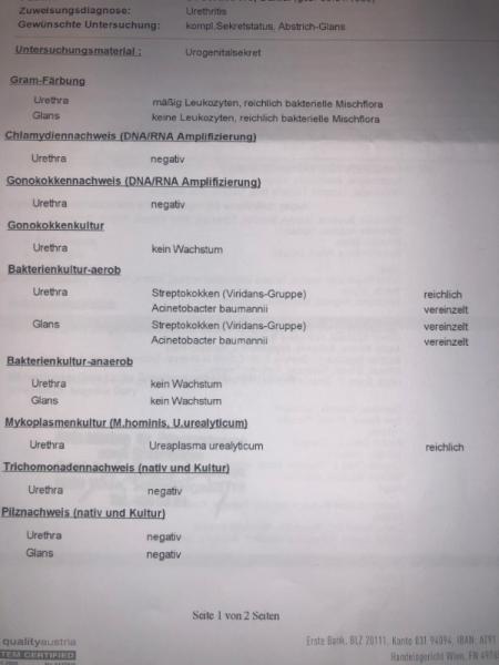 Bild zu Befund vom ehemann - Kinderwunsch - was tun, um schwanger zu werden?