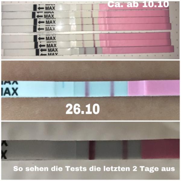 Bild zu Hilfe! Total verwirrt - Ovulationstest - Kinderwunsch - was tun, um schwanger zu werden?