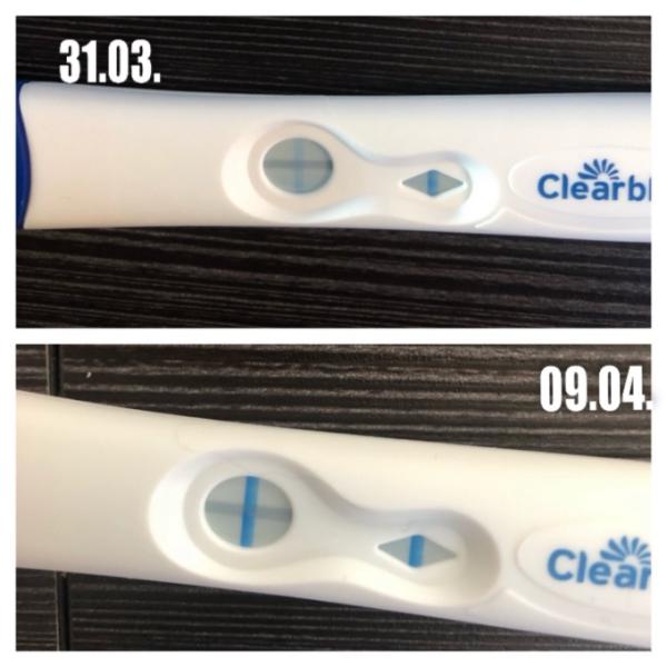 Bild zu Schwanger oder nicht?! - Kinderwunsch - was tun, um schwanger zu werden?