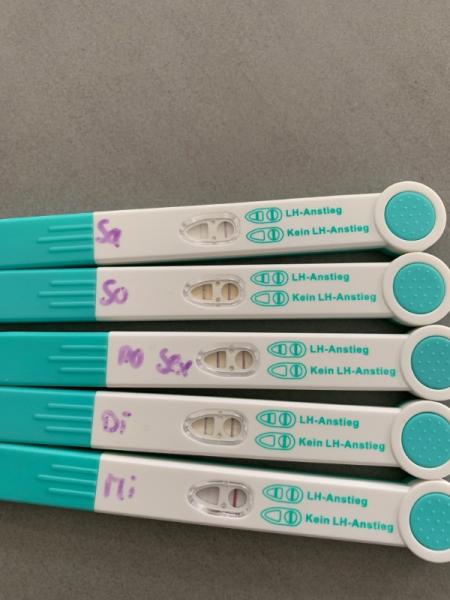 Bild zu Ovulationstest richtig gemacht - Kinderwunsch - was tun, um schwanger zu werden?