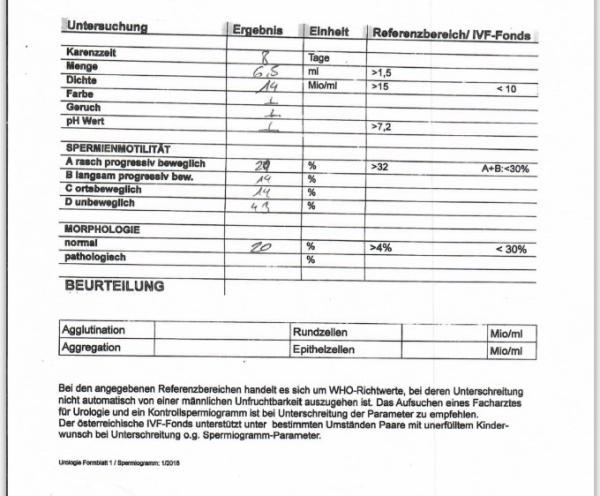 Bild zu Eure Meinung zum SG - Kinderwunsch - was tun, um schwanger zu werden?