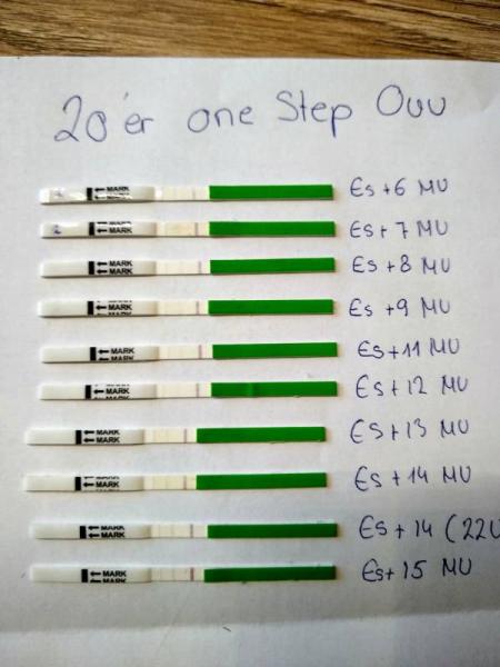 Bild zu ES +15 Orakel negativ oder positiv? - Kinderwunsch - was tun, um schwanger zu werden?