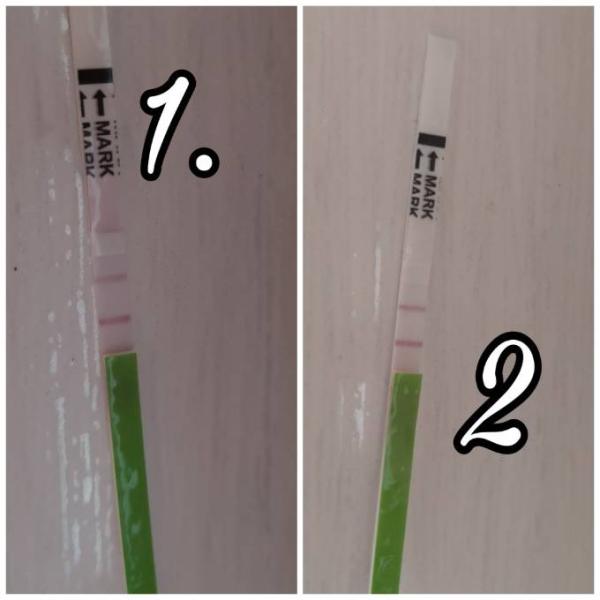 Bild zu Ovu tests - Kinderwunsch - was tun, um schwanger zu werden?