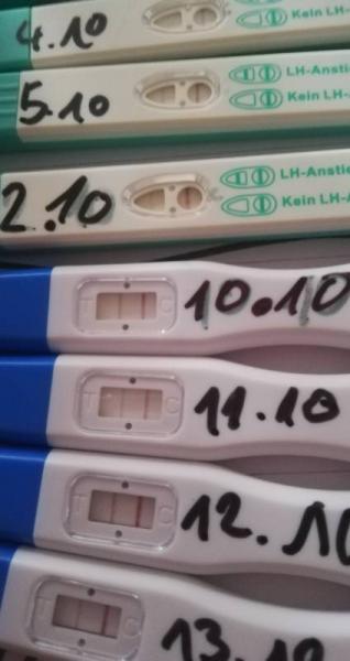 Bild zu Ovo - Kinderwunsch - was tun, um schwanger zu werden?