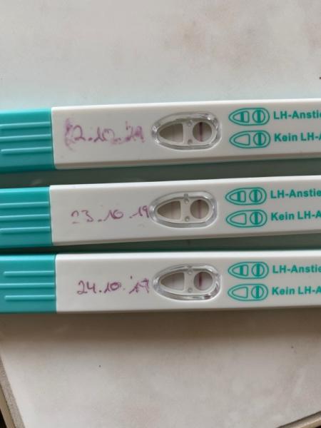 Bild zu Ovu - Test. Was sagt ihr? - Kinderwunsch - was tun, um schwanger zu werden?