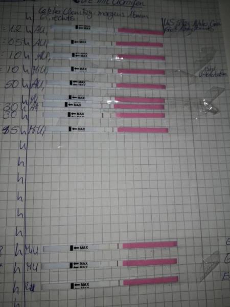 Bild zu 