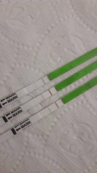 Bild zu Sind alle negativ ?! :( - Kinderwunsch - was tun, um schwanger zu werden?
