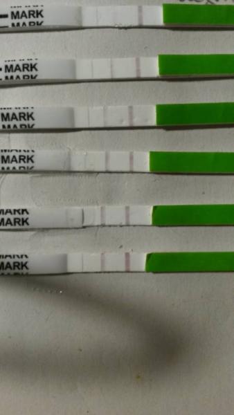Bild zu Welche Ovus empfehlt ihr, wenn Testlinie nie gleich stark wie die Kontrolllie? - Kinderwunsch - was tun, um schwanger zu werden?