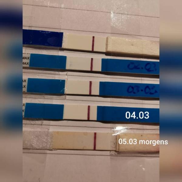 Bild zu Was meint ihr? - Kinderwunsch - was tun, um schwanger zu werden?