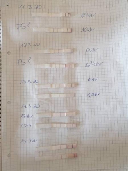 Bild zu Ovu hilfe - Kinderwunsch - was tun, um schwanger zu werden?