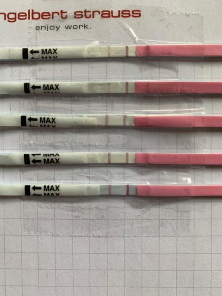 Bild zu OVU test - Kinderwunsch - was tun, um schwanger zu werden?