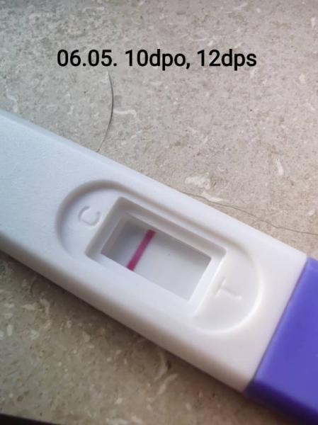 Bild zu Schwanger oder Ovitrelle? - Kinderwunsch - was tun, um schwanger zu werden?