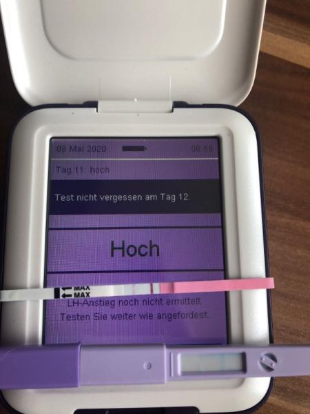 Bild zu 