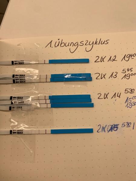 Bild zu Ovulationstest positiv/ negativ - Kinderwunsch - was tun, um schwanger zu werden?