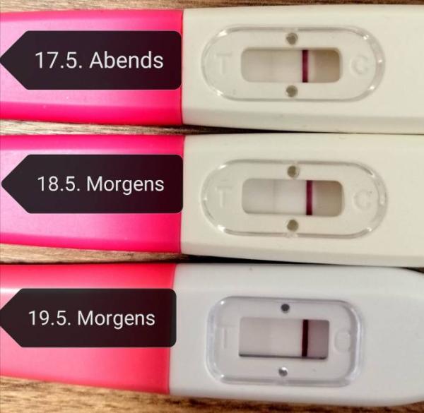 Bild zu Be sure / optimac - Kinderwunsch - was tun, um schwanger zu werden?