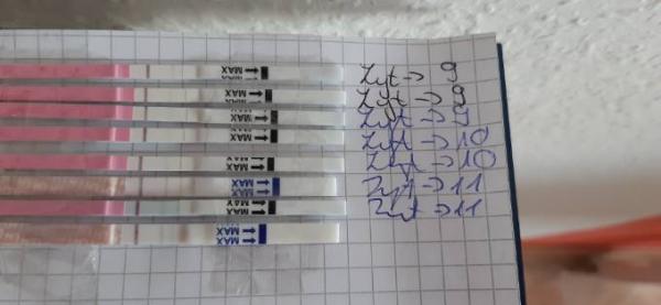 Bild zu Ovulations test - Kinderwunsch - was tun, um schwanger zu werden?