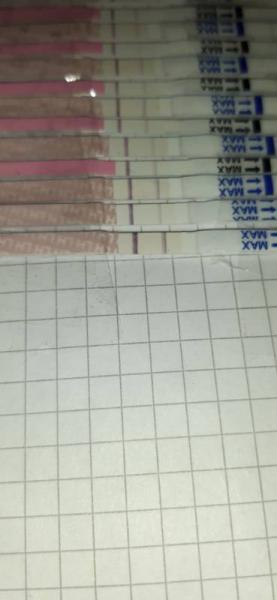 Bild zu Test - Kinderwunsch - was tun, um schwanger zu werden?