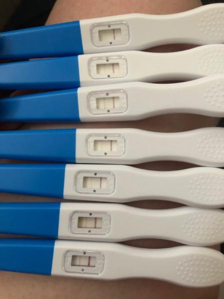 Bild zu Hilfe bei Ovulationstestauswertung - Kinderwunsch - was tun, um schwanger zu werden?