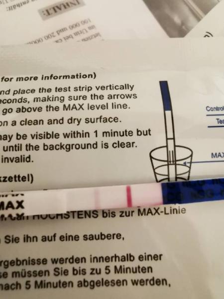 Bild zu 
