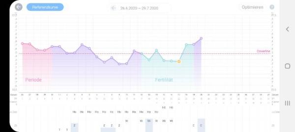 Bild zu Anovulatorischer Zyklus??? - Kinderwunsch - was tun, um schwanger zu werden?
