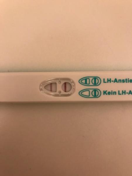 Bild zu Ovu positiv ? - Kinderwunsch - was tun, um schwanger zu werden?