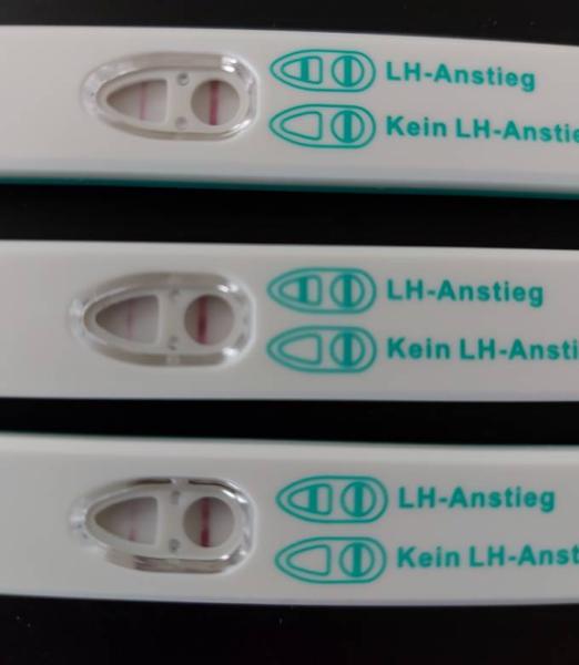 Bild zu Fragezeichen im Kopf - Kinderwunsch - was tun, um schwanger zu werden?