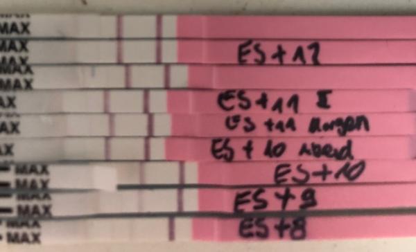 Bild zu Erstes orakeln - Kinderwunsch - was tun, um schwanger zu werden?