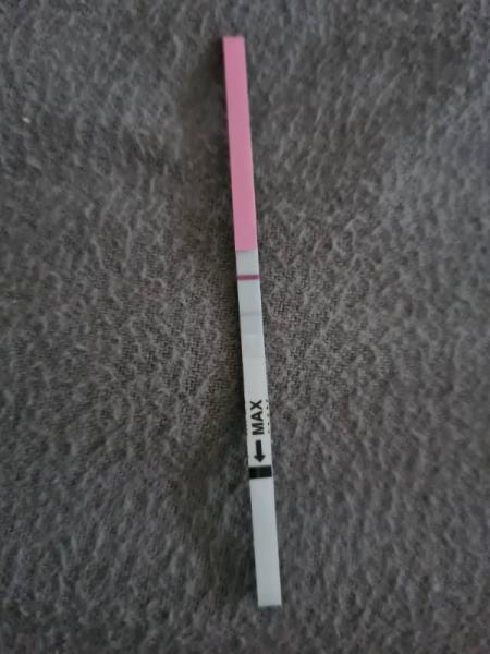 Bild zu Eisprung + - Kinderwunsch - was tun, um schwanger zu werden?