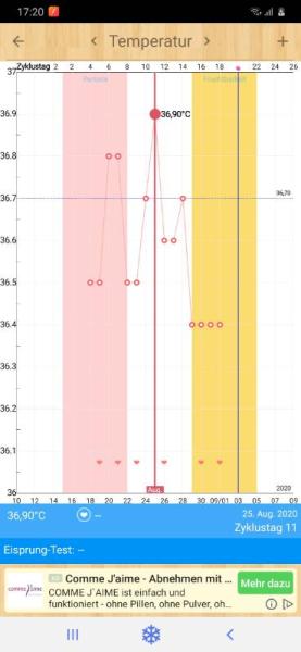 Bild zu Temperaturkurve Zykluskurve - Kinderwunsch - was tun, um schwanger zu werden?