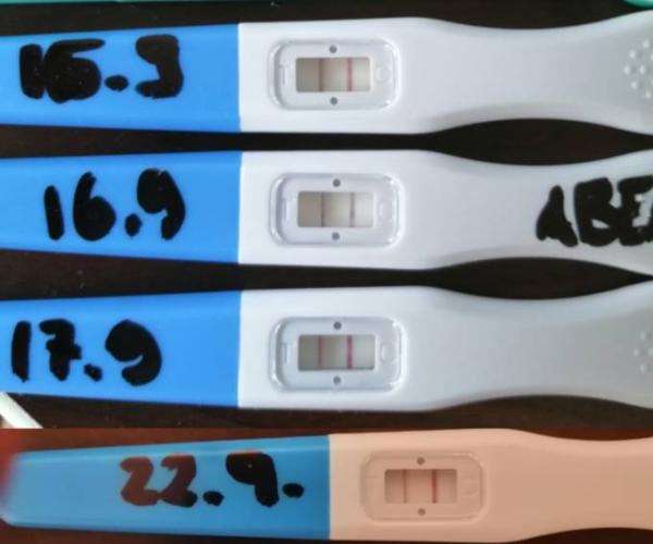 Bild zu Ovus werden nicht negativ - Kinderwunsch - was tun, um schwanger zu werden?