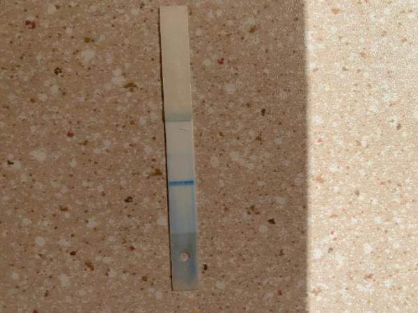 Bild zu Clearblue Digital Verdunstungslinie? - Kinderwunsch - was tun, um schwanger zu werden?