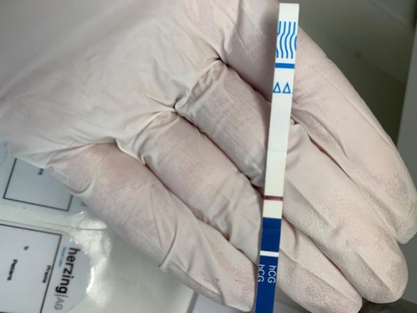 Bild zu Test - Kinderwunsch - was tun, um schwanger zu werden?