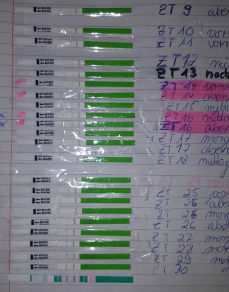 Bild zu schwanger! pos. ovu und test - Kinderwunsch - was tun, um schwanger zu werden?