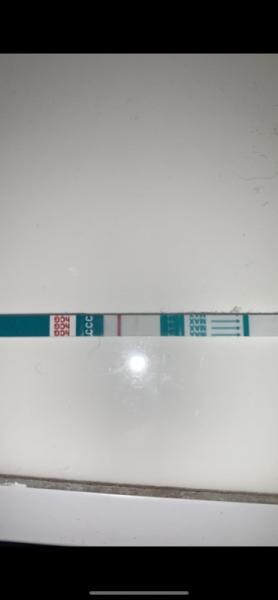 Bild zu Sst positiv?? - Kinderwunsch - was tun, um schwanger zu werden?