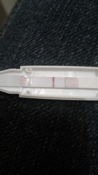 Bild zu Adleraugen gesucht - Kinderwunsch - was tun, um schwanger zu werden?