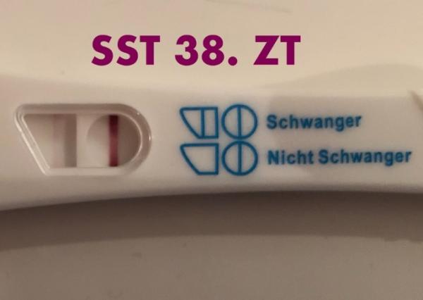 Bild zu Was meint ihr? Schwangerschaft möglich? - Kinderwunsch - was tun, um schwanger zu werden?