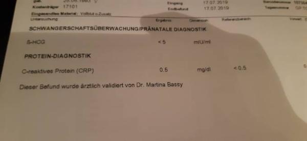 Bild zu Befund - Kinderwunsch - was tun, um schwanger zu werden?