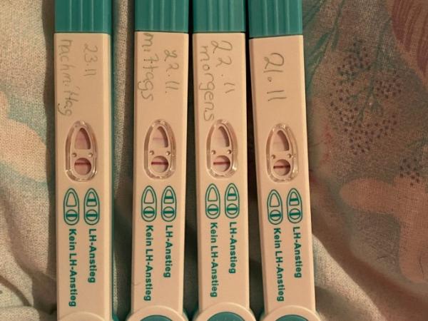 Bild zu Eisprung? - Kinderwunsch - was tun, um schwanger zu werden?