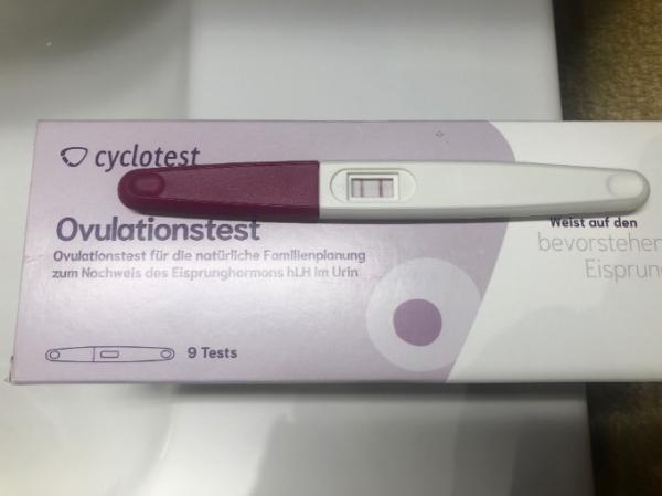 Bild zu Ovu 3x positiv? - Kinderwunsch - was tun, um schwanger zu werden?