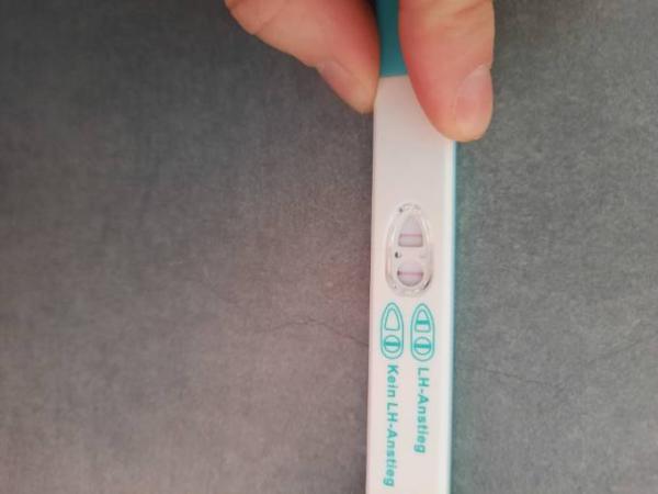 Bild zu Ovulationstest Ergebnis - Kinderwunsch - was tun, um schwanger zu werden?