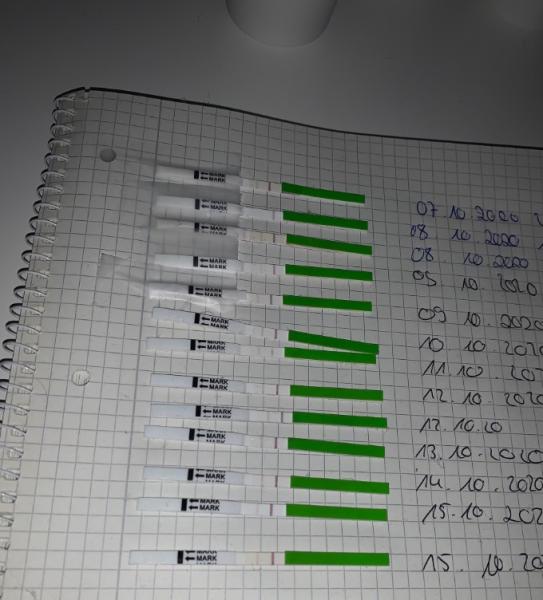 Bild zu Ovulationstest - Kinderwunsch - was tun, um schwanger zu werden?