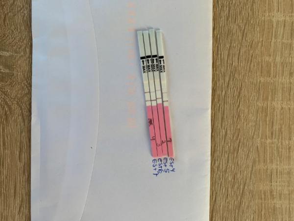 Bild zu Orakeln Ovulationstest - Kinderwunsch - was tun, um schwanger zu werden?