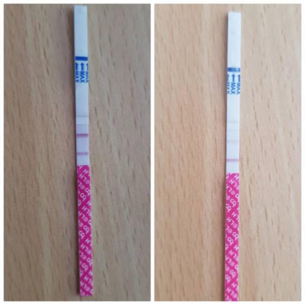 Bild zu Ovulationstest - Kinderwunsch - was tun, um schwanger zu werden?